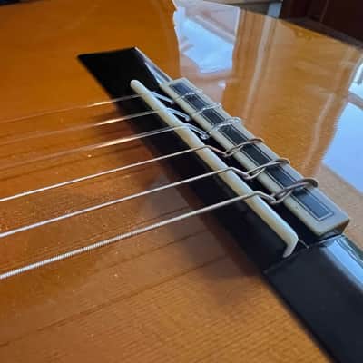 Yamaha GC82 Classical Guitar - Exquisite image 8