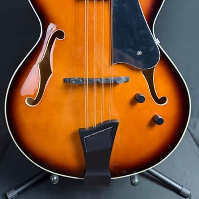 Gold Tone Mandocello 8-String Acoustic-Electric Vintage Sunburst w/ Hardshell Case image 2