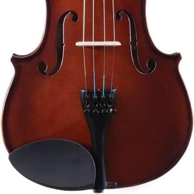 Palatino Model VN-350-1/8 Campus Violin Outfit, 1/8 Size with Case, bow & More image 6