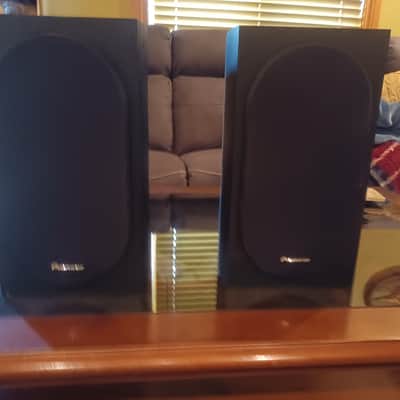 Pioneer SP-BS22-LP 2019 - Black Wood Grain Vinyl image 1