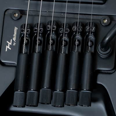 【new】HEX Guitars / N500 Black【price included SHIPPING & IMPORT TAX & VAT】 image 8