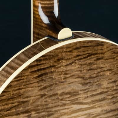 Deering 50th Anniversary Limited Edition 5-String Banjo NEW image 17
