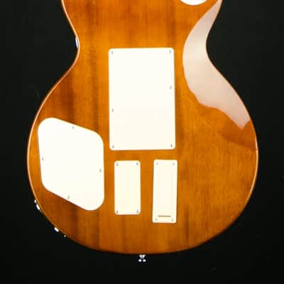 2022 Epiphone Alex Lifeson Les Paul Standard Axcess (Incl. EpiLite Case) image 11