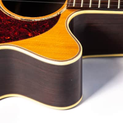 Takamine Acoustic EAN45C Owned by Nils Lofgren image 9