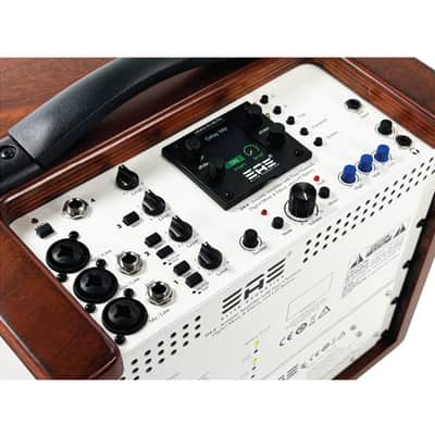 Elite Acoustics EAE D4-8 Rechargeable Acoustic Amp with 4 Channel Digital Mixer/LFP Battery - Wood image 8