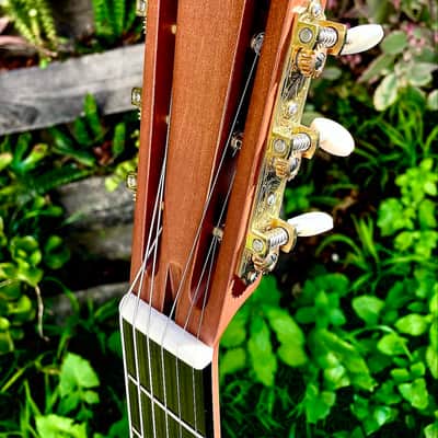 2023 National Resophonic Raw Steel, 12 fret w/Lollar Tele-Pickup. Previously artist owned. image 5