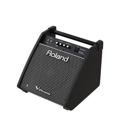 Roland PM-100 80-Watt Personal Drum Monitor image 4