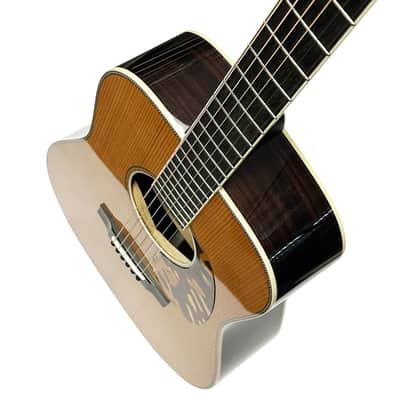 Eastman E20D-TC-LSH Thermo-Cure Large Sound Hole Dreadnought w/ Hard Shell Case image 8