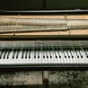 Rare 1972 “Buz Watson” Fender Rhodes Mark 1 Stage 73 - Excellent Condition