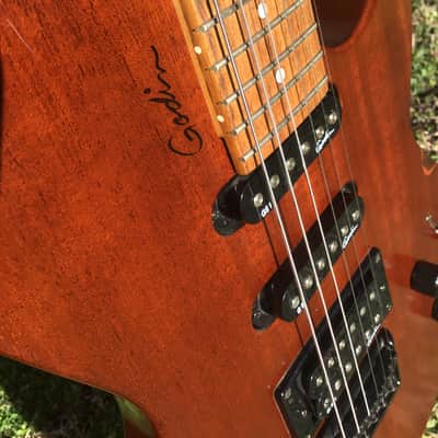 Godin Exit 22 S USA / Canada Mahogany Electric Guitar W/Bag image 4