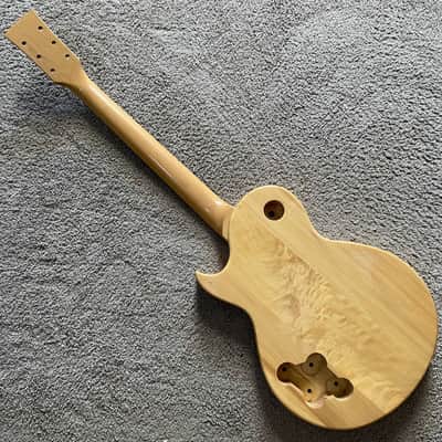 Harley Benton Single Cut Electric Guitar DIY Project with Rosewood Fingerboard image 10