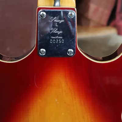 Strings n Things Custom Bluesmaster  1983 Memphis image 3