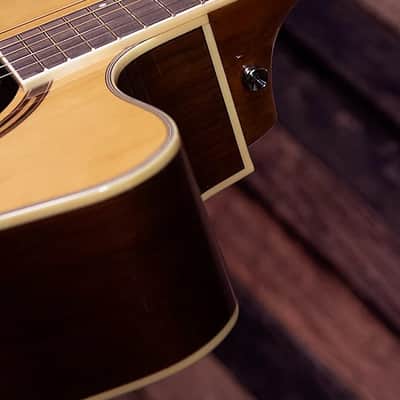 Washburn AG70CEK Apprentice Series Mahogany Neck 6-String Acoustic-Electric Guitar w/Hard Case image 5