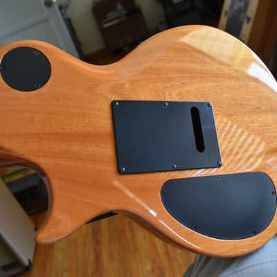 Kiesel CS6, High specs, Gorgeous specimen, 2020, Tremolo equipped image 4