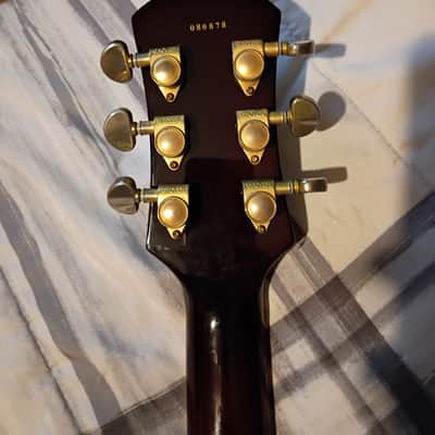 Douglas WNO-650 BR 2000s Wino Hollowbody Rare HH image 2