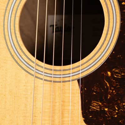 Taylor 210ce Dreadnought Acoustic/Electric Guitar with Gig Bag - Factory Demo image 11