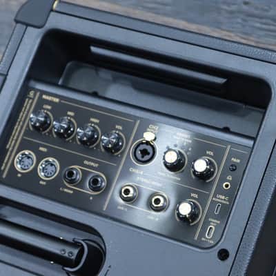 Positive Grid Spark LIVE 4-Channel Smart Amp & PA System with Spark Control X Bild 14