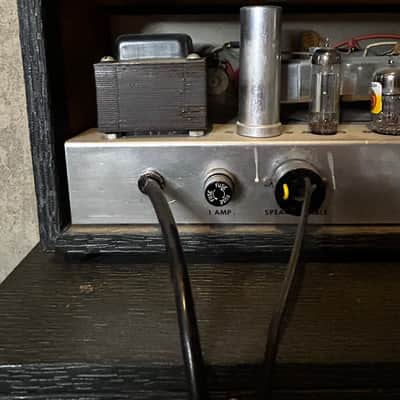 Vintage 60's Danelectro DM25 Amp with Reverb & Tremolo image 14