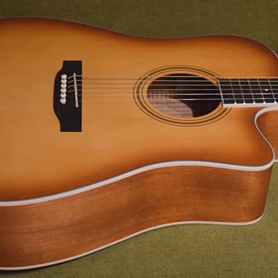 Nashville Guitar Works D10CE EB 2023 - Edgeburst image 3