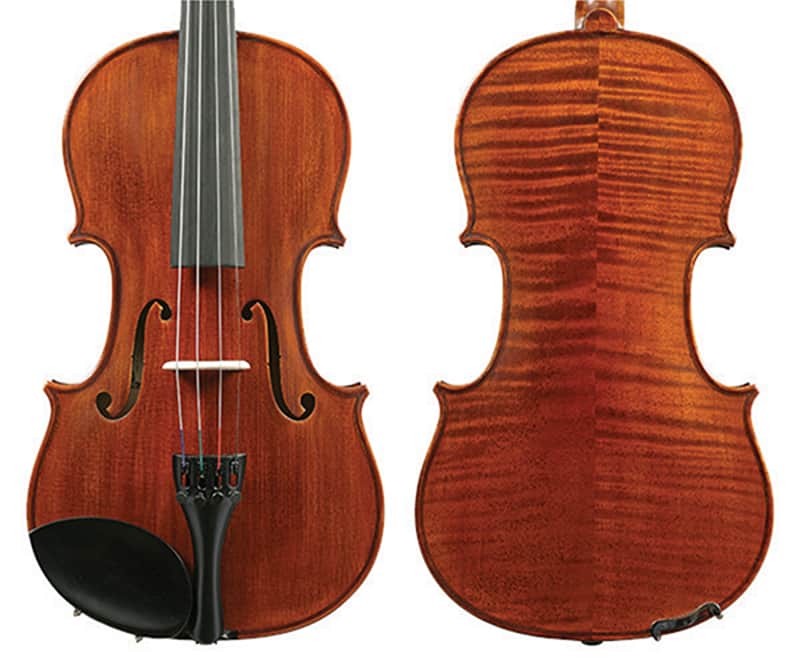 4/4 Size Violin Outfit image 1