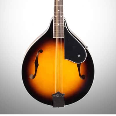 Washburn M1 Mandolin Pack with Gigbag image 1