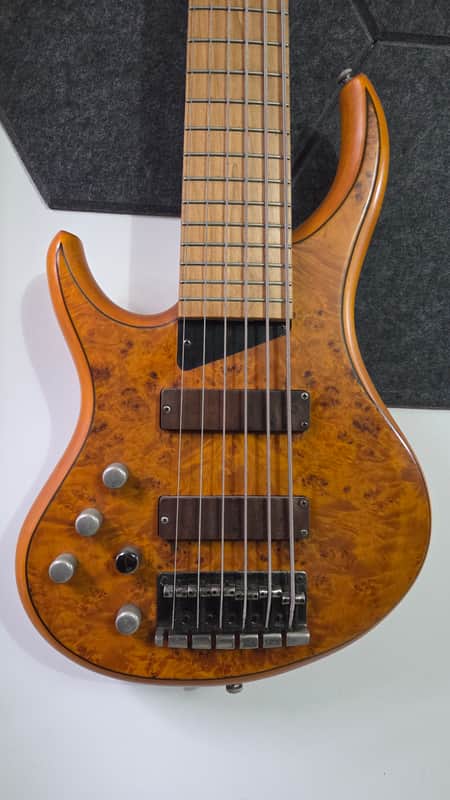 MTD Kingston Z6 left handed with Maple Fretboard image 1