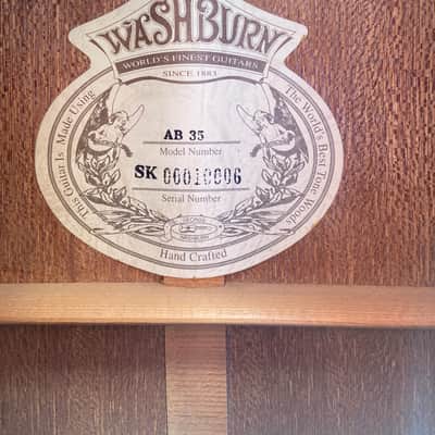 Washburn AB 35 image 6