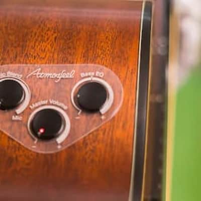 Yamaha FSX5 - Acoustic Electric Concert Style with Atmosfeel Electronics image 5