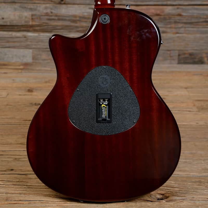 Taylor T5 Standard image 4