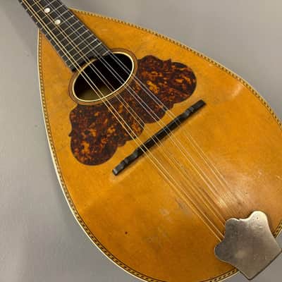 Washburn Bowl-Back Mandolin with Original Case, 1890s image 6