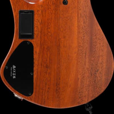 Ibanez EHB Ergonomic Headless Bass 6 String w/Bag Multi scale - Antique Brown Stained Low Gloss (EHB1506MSABL) image 8