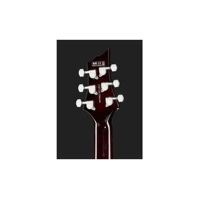 Harley Benton CST-24HB Tortoise Flame image 7