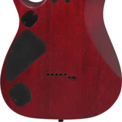 Ibanez RGD721FA 7-String Electric Guitar, Ebony Fingerboard, Stained Wine Red Bust Flat image 3