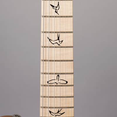 Paul Reed Smith USA Myles Kennedy Signature - PRS - 2024 - Antique Natural w/HSC image 6