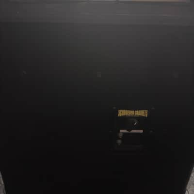 Eden WT-800B World Tour Head (2006) & Schroeder bass cab 4x10 and monster power & audio cables image 6