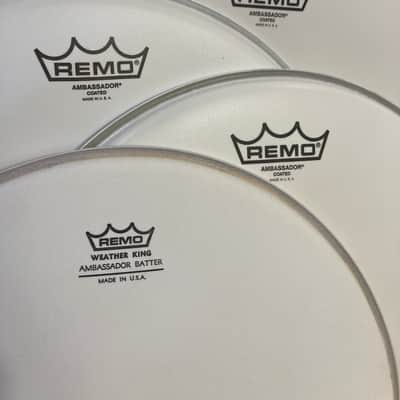 Remo - Coated Ambassador Heads, Pro Pack, 12", 13", 14", 16" image 2