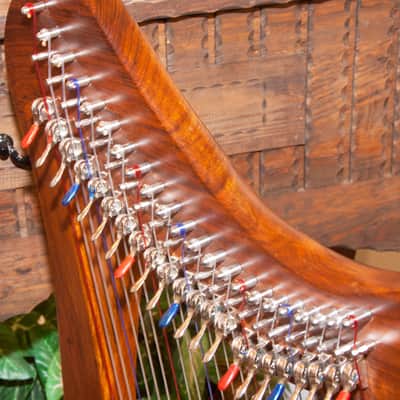 Roosebeck 22-String 5-Panel Heather Harp w/ Chelby Levers image 6