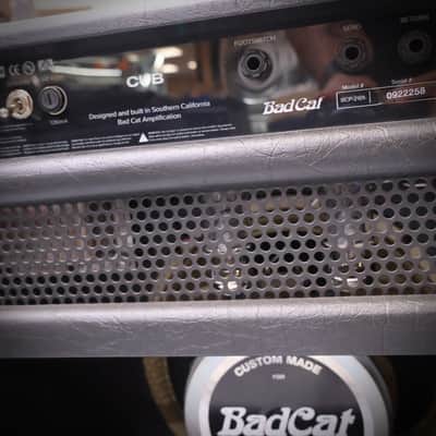 Immagine Bad Cat Cub Combo - 11