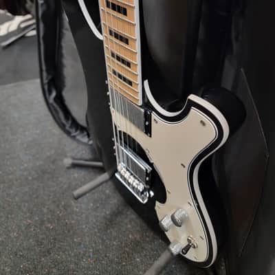 Slightly Used Schecter Stargazer 12 String Electric Guitar w/Bag image 8
