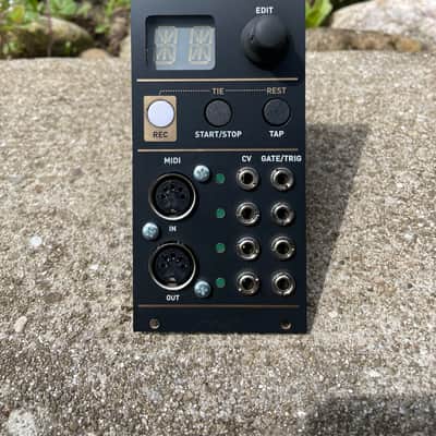 Mutable Instruments Yarns (clone) 2024 - Black image 1