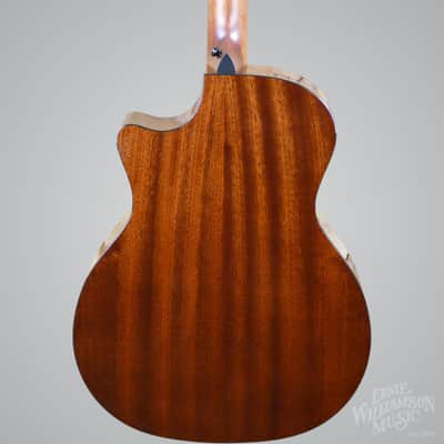 Taylor 324ce, Next Generation Grand Concert Tropical Mahogany Top Sapele Back and Sides image 7