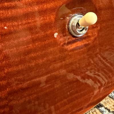 Immagine PRS Custom 22 Stoptail 10-Top 2002 - 2014 - Tortoise Shell - 8