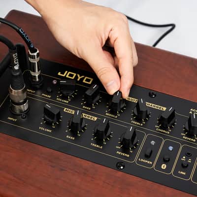 Joyo BSK-80 Acoustic  Rechargeable Guitar Amp 80w image 3