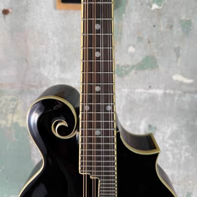 The Loar LM-520-VS Performer F-Style Mandolin - Gloss Vintage Sunburst #0351 image 7