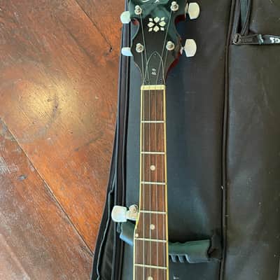 Washburn B9 Americana Series 5-String Banjo 2010s - Natural image 5