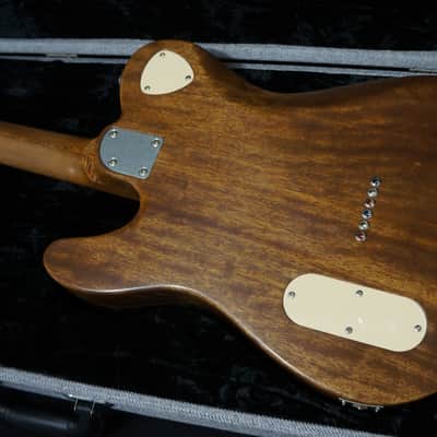 Patrick James Eggle Guitars Oz-T Tele Drop Top in Tiger Eye Burst - Master Grade Flame  Maple Top image 10