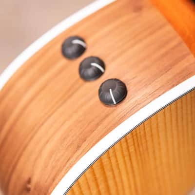 Taylor 214ce Grand Auditorium Acoustic/Electric Guitar with Gig Bag image 9