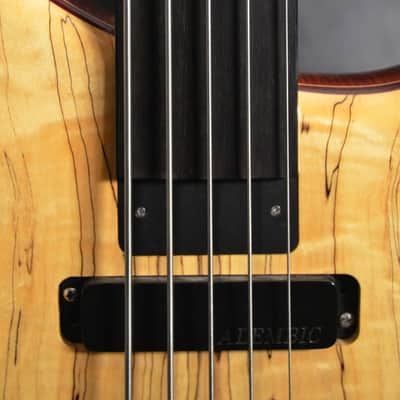 Alembic Custom CLB5 Fretless 5 String With LEDs image 5