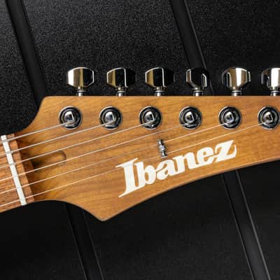 Ibanez EH10 TGM Erick Hansel Signature - Transparent Green Matte image 24