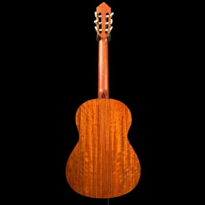 Yamaha CG-TA TransAcoustic Nylon String Guitar - Natural Gloss image 6